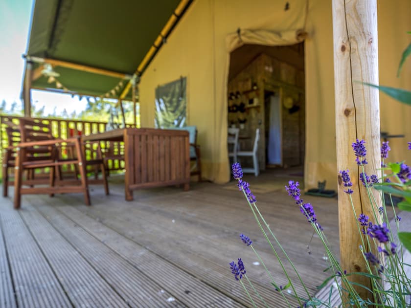 Cherry Safari - Safari Tents, Monmouth