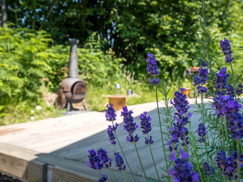Cherry Safari - Safari Tents, Monmouth
