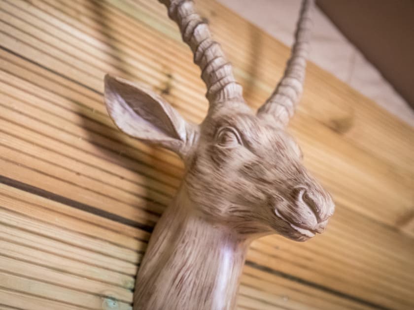 Willow Tree Safari - Safari Tents, Monmouth