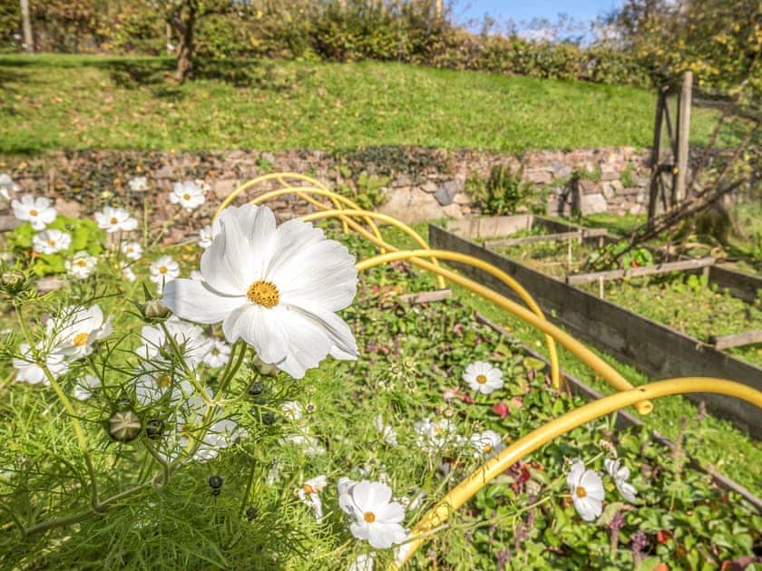 Wisteria Lodge, Preseli Hills