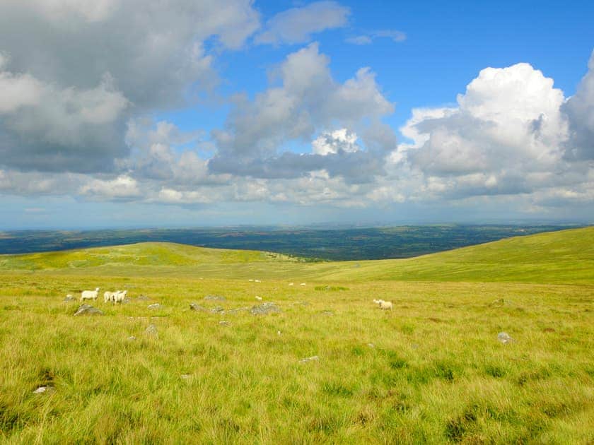 Bryn Olwyn, Little Newcastle, Fishguard