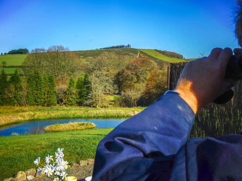  Let’s Glamp Retro Queen - Let’s Glamp Retro, Llandysul