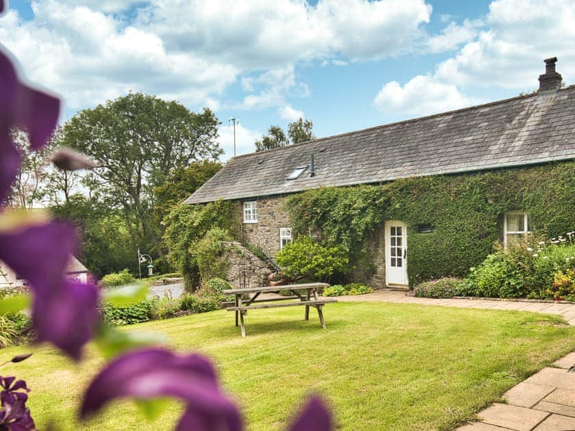 Lily Pond Cottage, New Quay