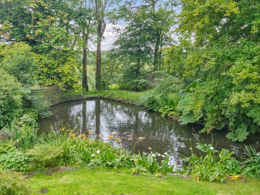 Lily Pond Cottage, New Quay