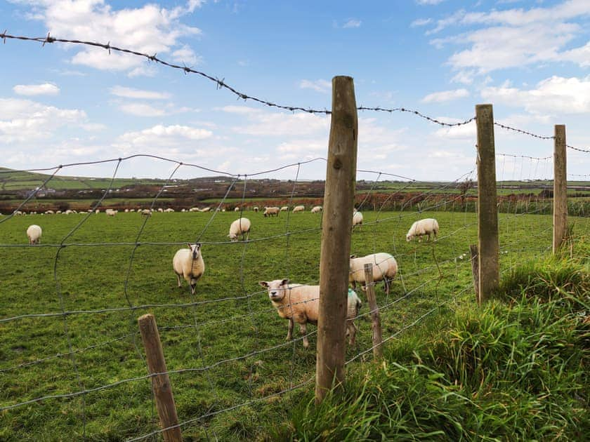 Surrounding area | The Crog Loft - Bodwyddog, Rhiw, near Aberdaron