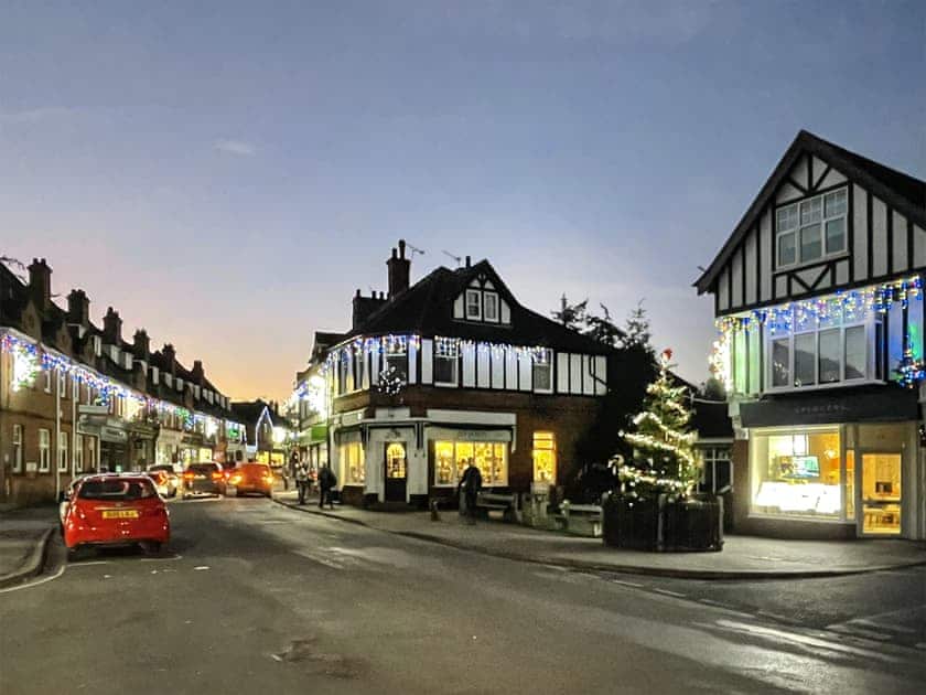 Brockenhurst village Christmas street scene | Forest Acorn, Brockenhurst