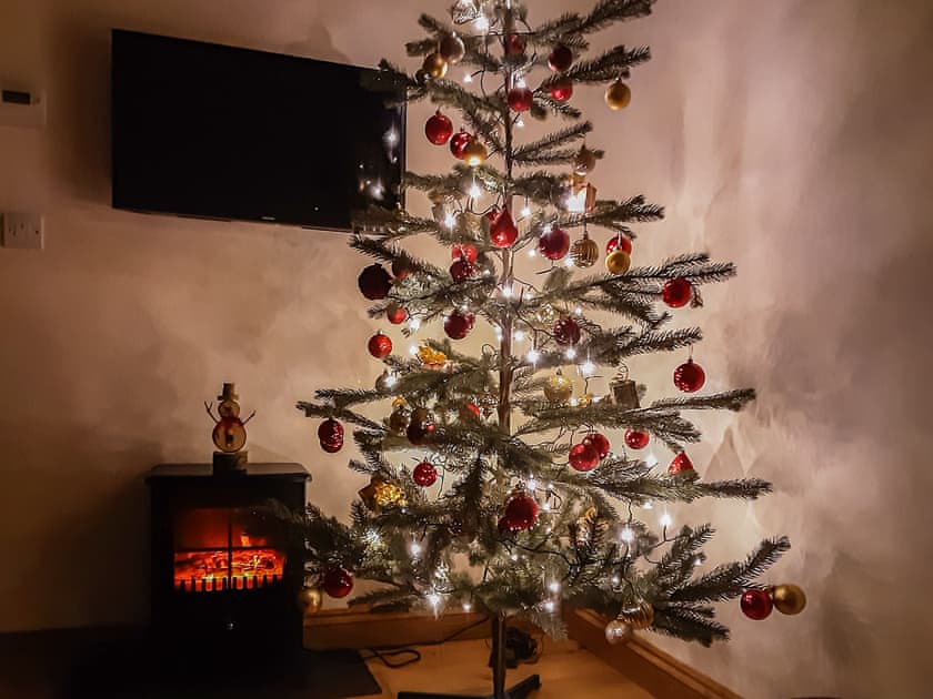Christmas | East View Farm : Badgers Den - East View Farm, Westbrook