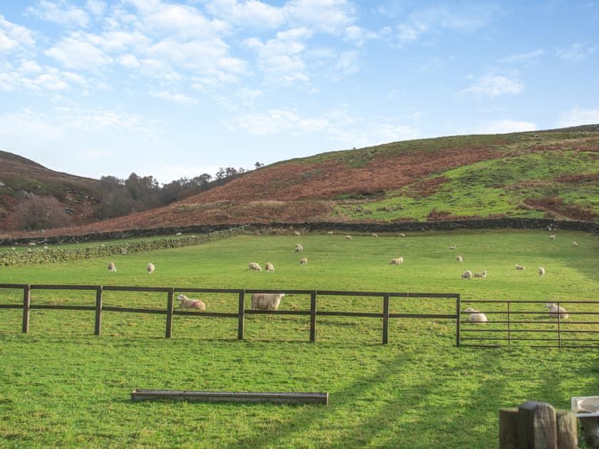 The view from Little Pythorn  | Little Pythorn - Waites House Farm Cottages, Westerdale, near Castleton