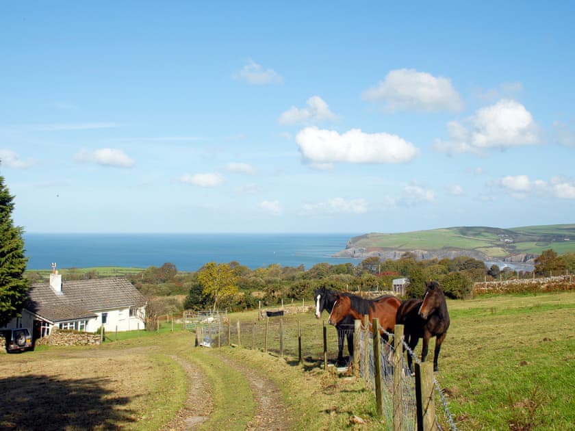 Garn Isaf, Newport