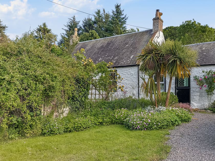 Garden | Clachries Cottage, Sandyhills