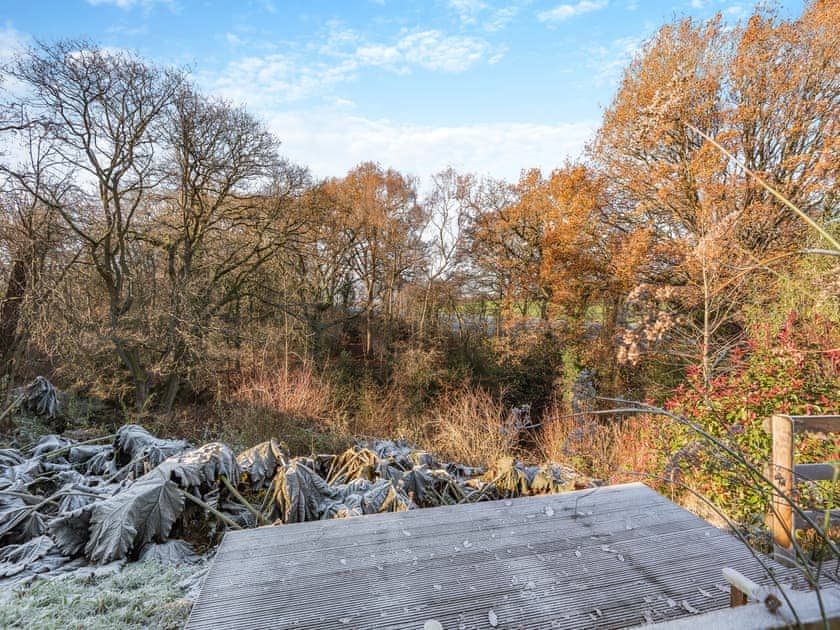 View | The Shepherds Rest - Morrells Wood Farm, Leighton, near Shrewsbury