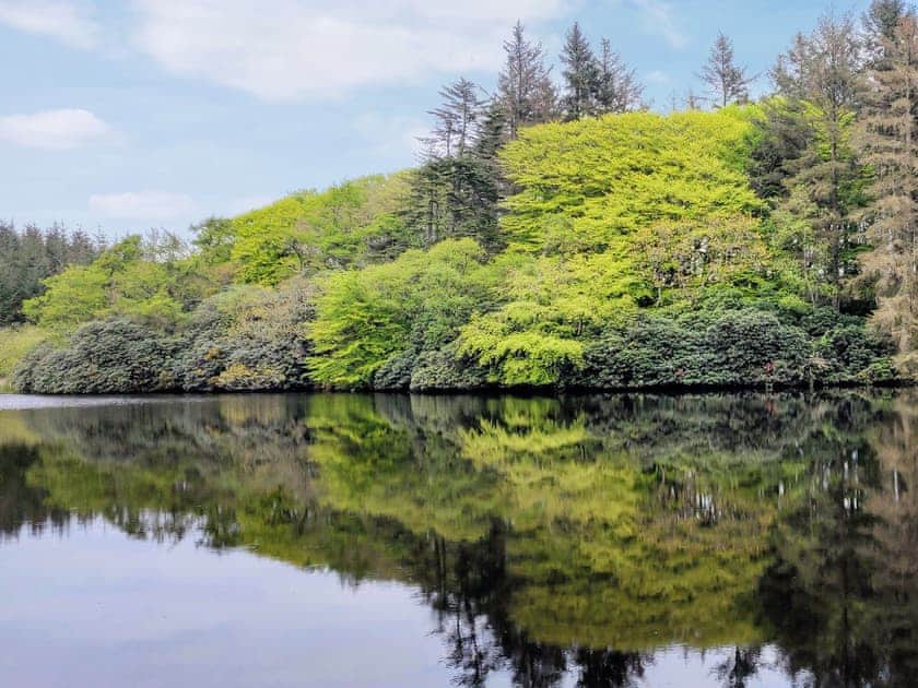 Surrounding area | Coachman, Portpatrick, near Stranraer