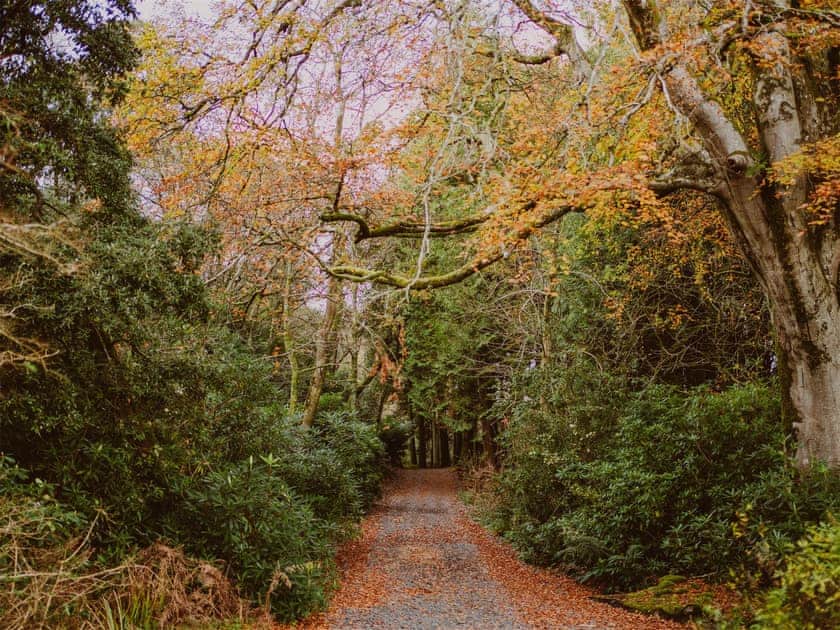 Surrounding area | Fawn’s Velvet - Dunskey Estate, Portpatrick, near Stranraer