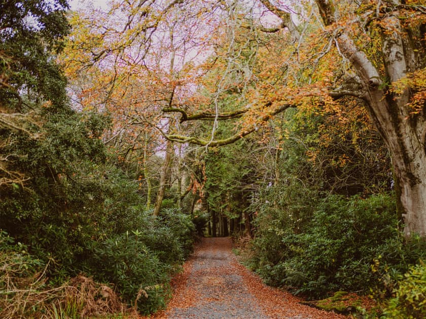 Surrounding area | Fern Forest House - Dunskey Estate, Portpatrick, near Stranraer