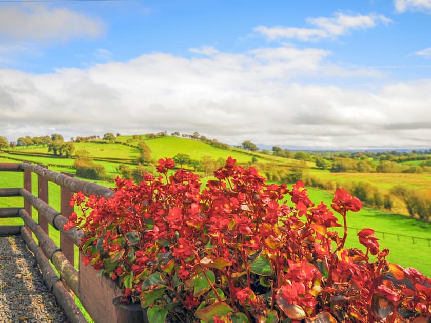 Llwyn Coppa Barn - Newton Holiday Cottages, Adfa, near Newtown