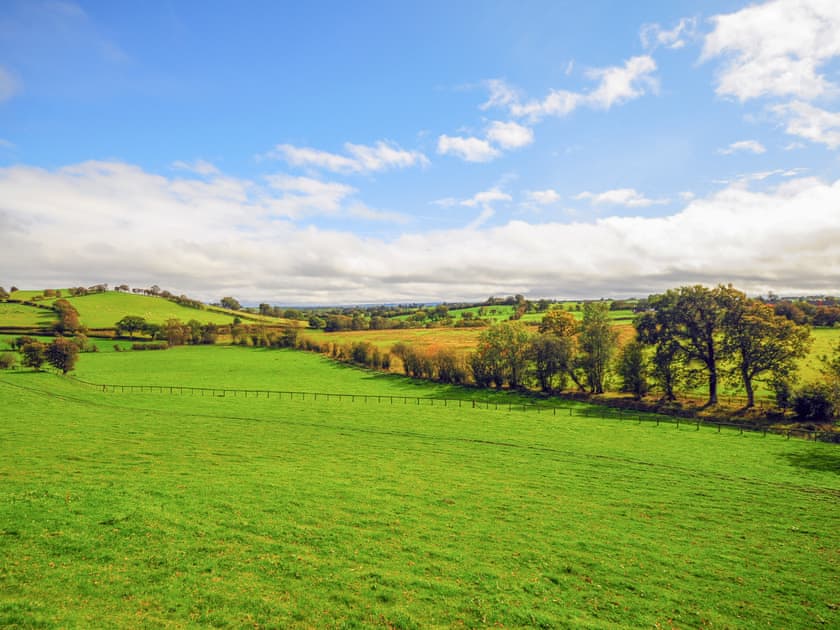 Llwyn Coppa Barn - Newton Holiday Cottages, Adfa, near Newtown