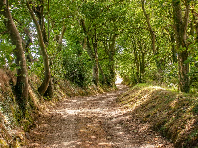 Lower Lochturffin, Llanreithan, near Croesgoch