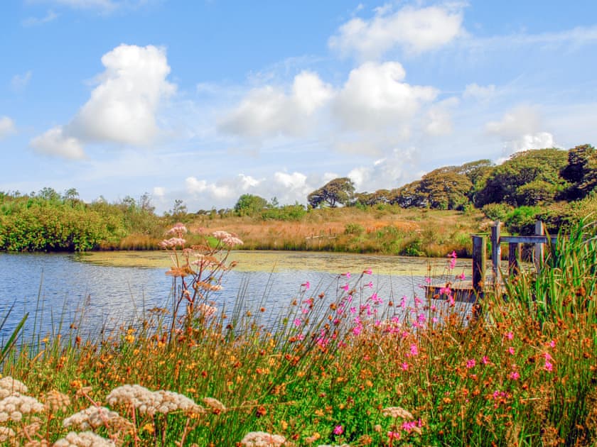 Lower Lochturffin, Llanreithan, near Croesgoch