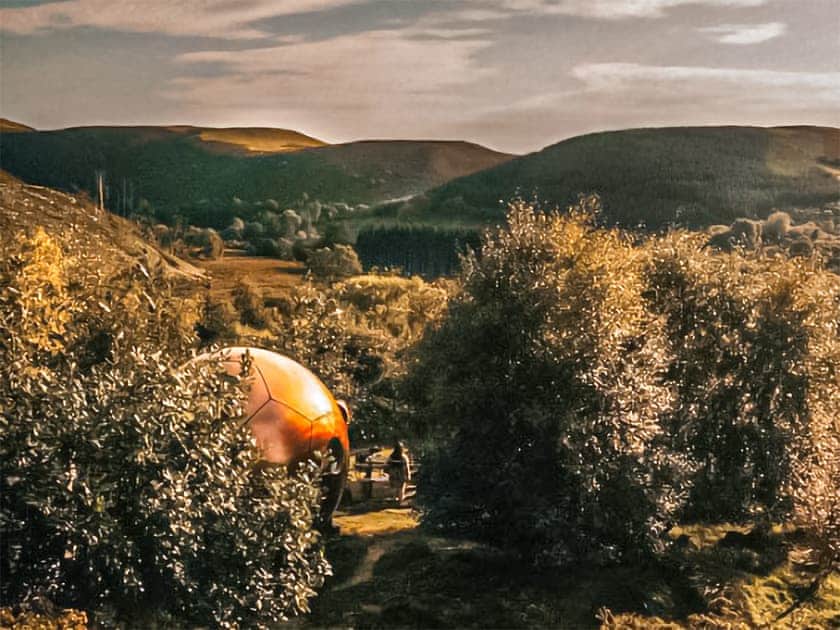 Conker, Builth Wells