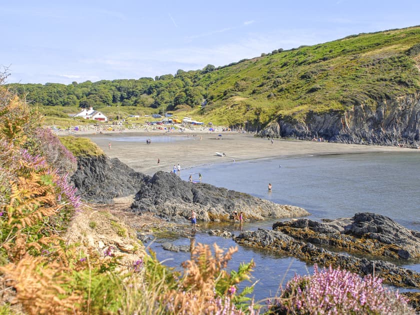 Plas Pontfaen, Gwaun Valley