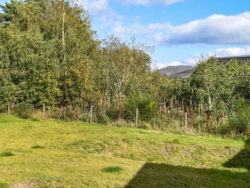 Surrounding area | Caledonia Apartment, Aviemore