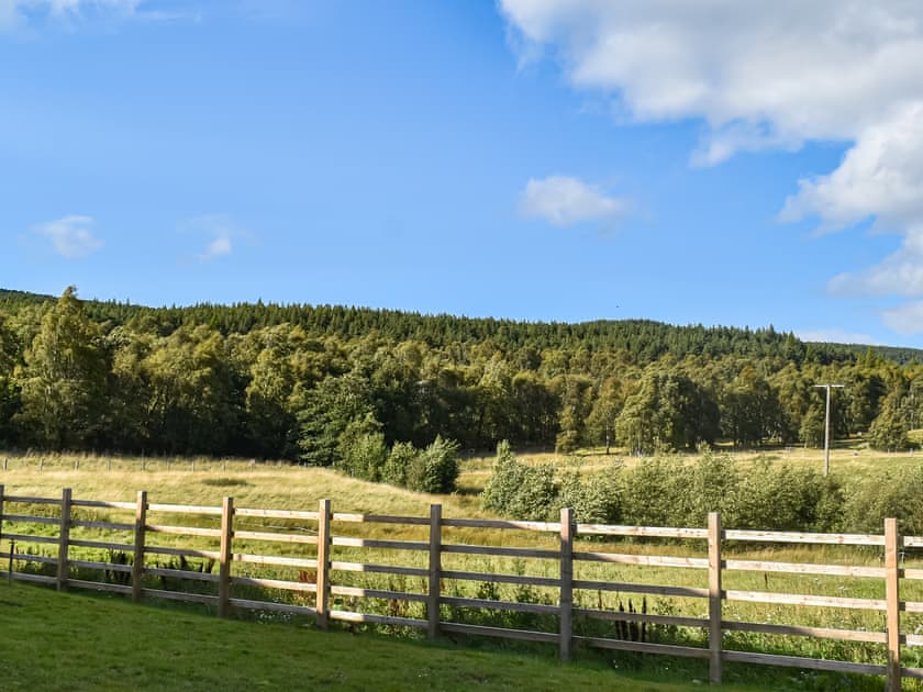Surrounding area | Caledonia Apartment, Aviemore