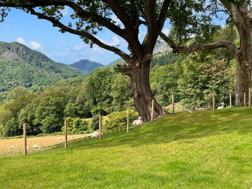 Garden | The Barn at Gelli Newydd - Gelli Newydd Farm Cottages, Llanrwst