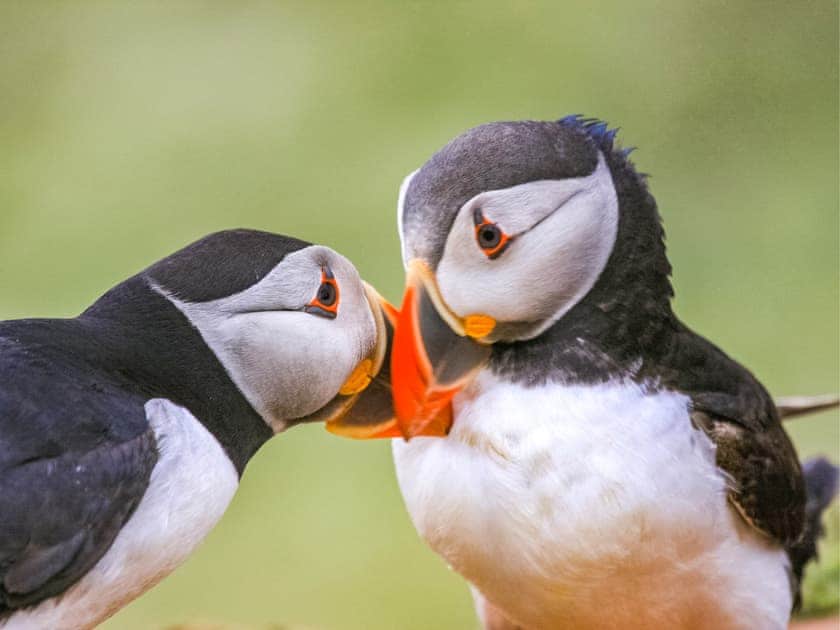Trinity Cottage - Burton Ferry Holiday Cottages, Burton, nr Milford Haven