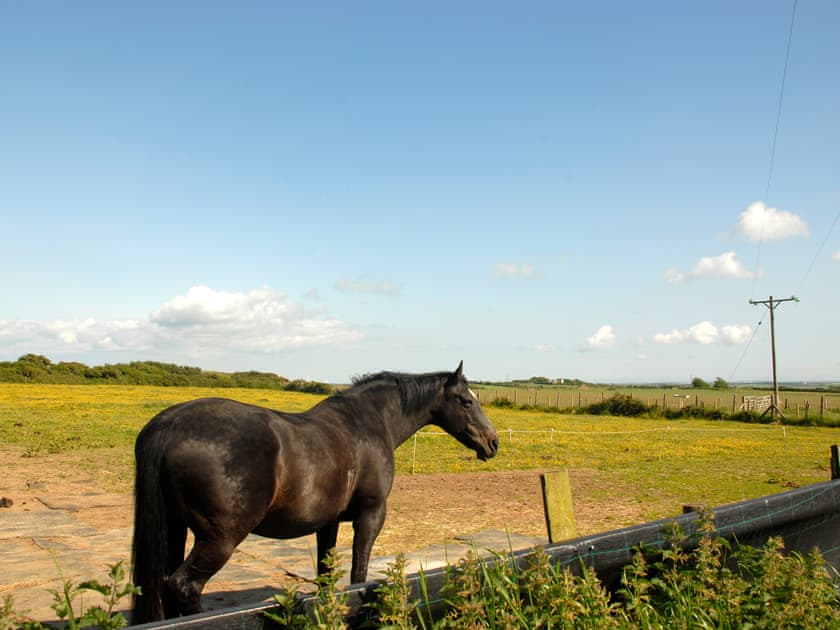 Rogeston Mount, Haverfordwest