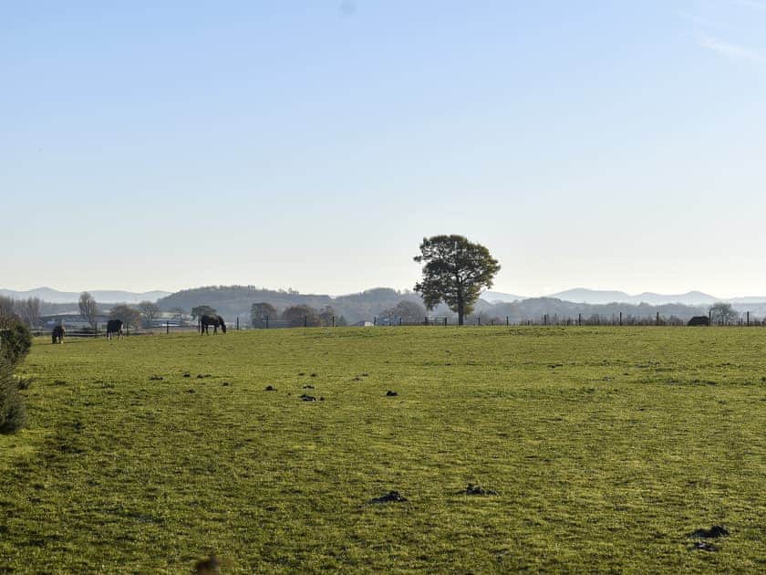 Surrounding area | Pride of Erin - Paddockhall Cottages, Linlithgow