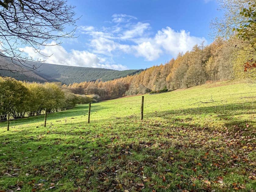 Garden | The Old Stables, Presteigne