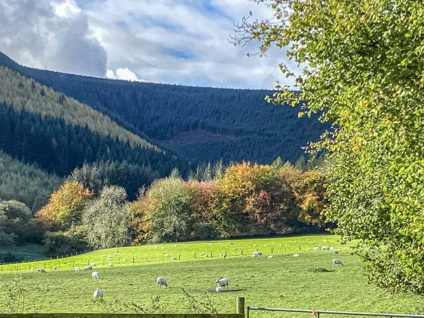 Surrounding area | The Old Stables, Presteigne