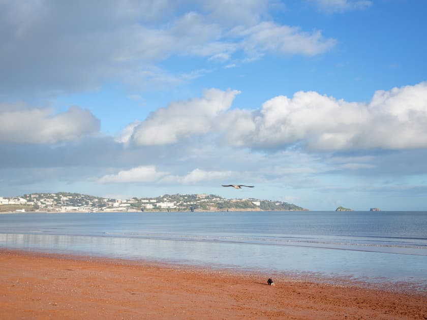 Surrounding area | The Lighthouse - Sunnybeach Holiday Apartments, Paignton
