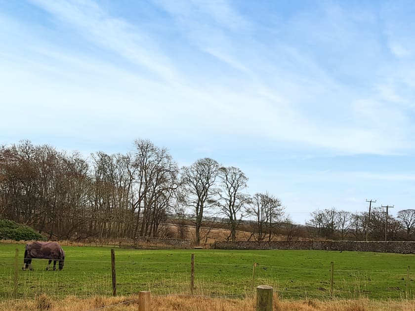 View | Kilconquhar Cottage, Kilconquhar, near Leven