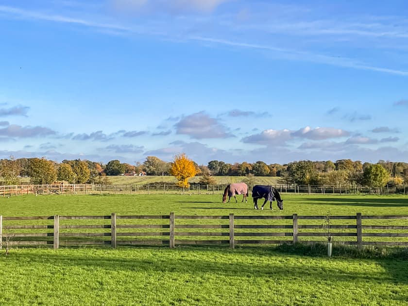 Setting | Chestnut Lodge - Solar Rise Lodges, Old Buckenham