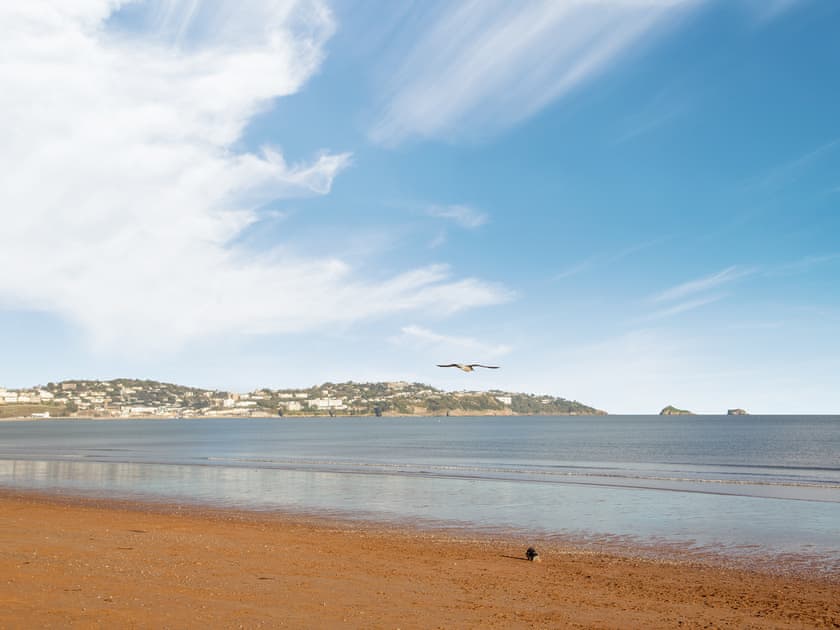 Surrounding area | Turtle Beach - Sunnybeach Holiday Apartments, Paignton