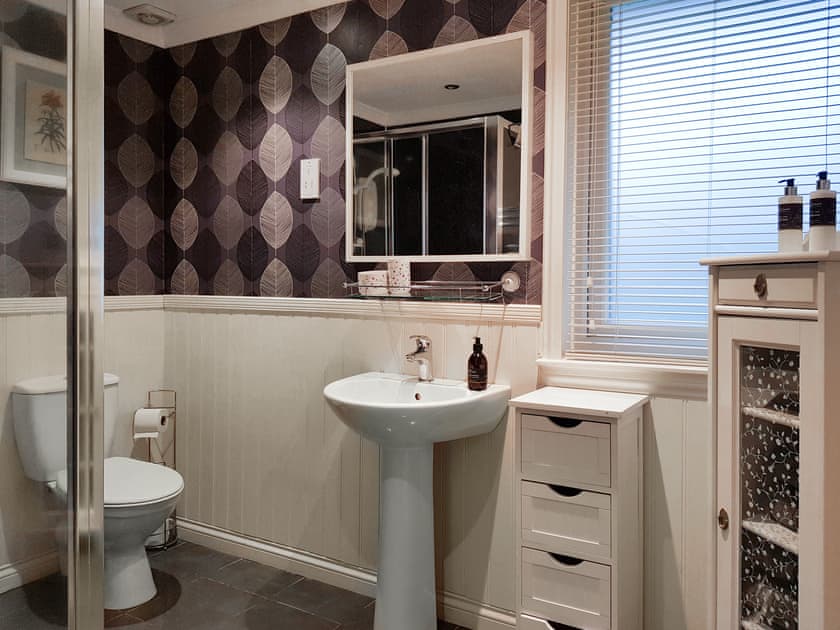Shower room | Leven Lodge 3 - Loch Lomond Sanctuary Lodges, Loch Lomond
