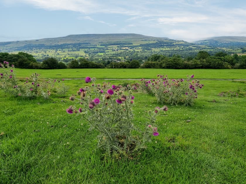 Surrounding area | Town Hall Cottage, Redmire near Leyburn