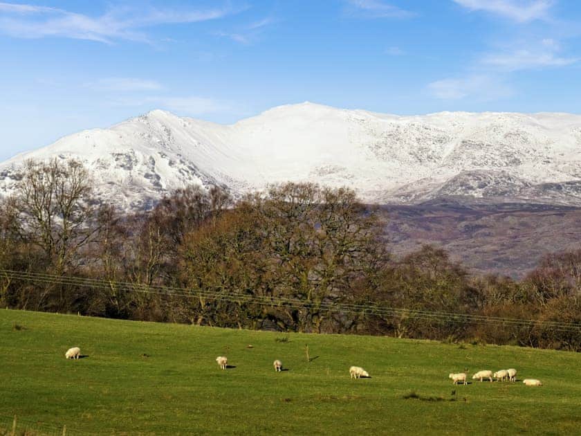 Surrounding area | Plas Madog, Parc, near Bala