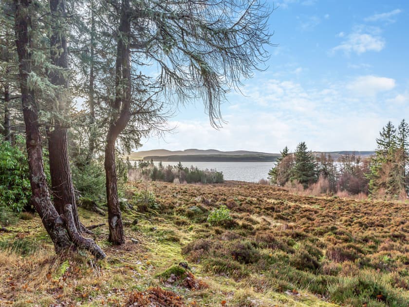 Surrounding area | Cathel Sheiling, Thurso