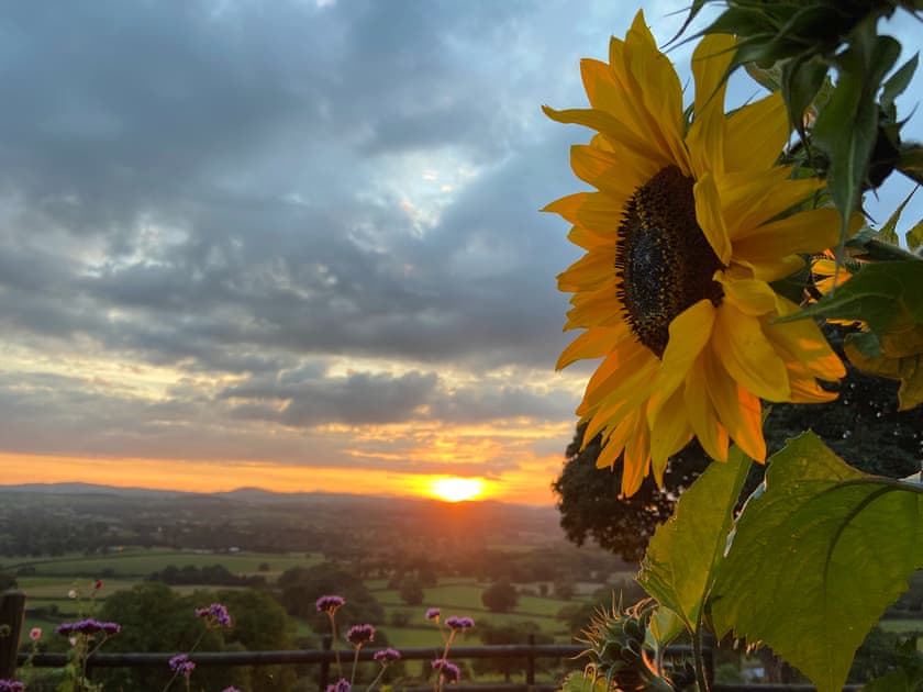View | Beehive Cottage, Bodfari, near Denbigh