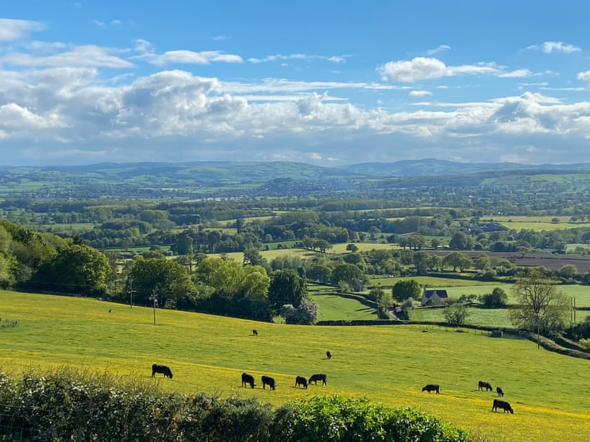 View | Beehive Cottage, Bodfari, near Denbigh