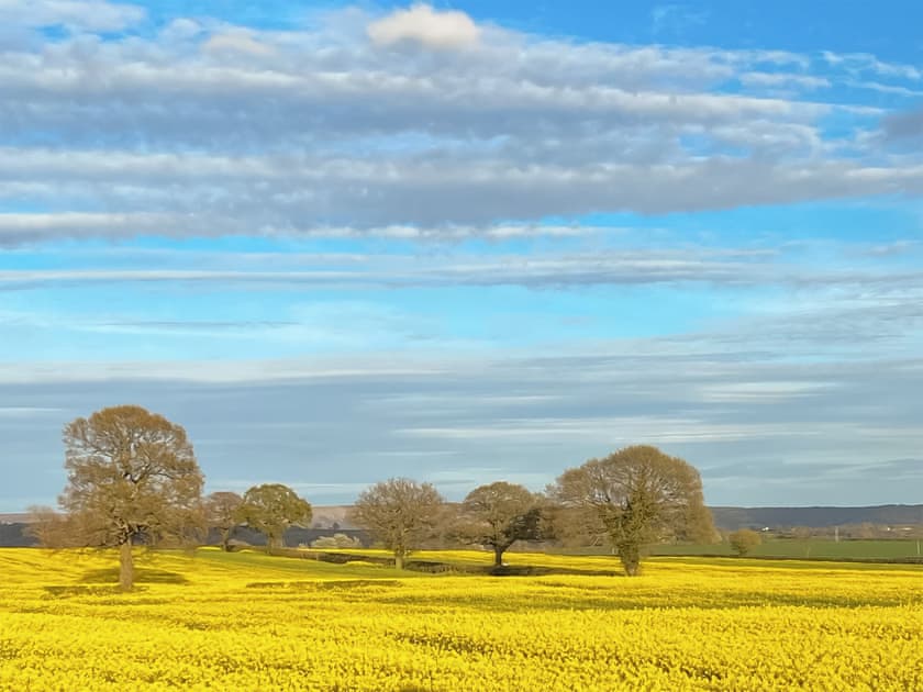 View | Blackhills Barn, Crosby, near Northallerton