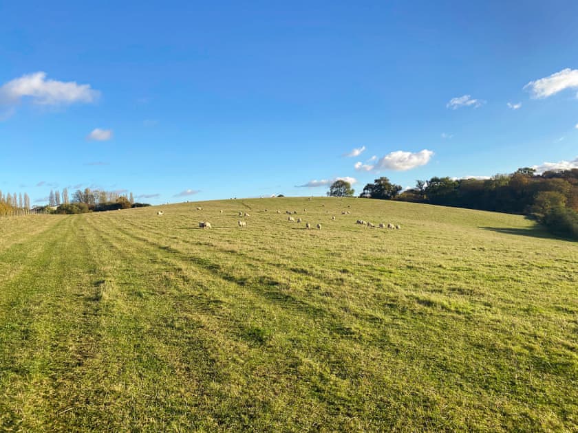 Surrounding area | Oak Cottage, Ware