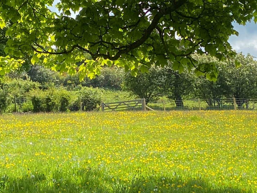 Surrounding area | Beehive Cottage, Bodfari, near Denbigh