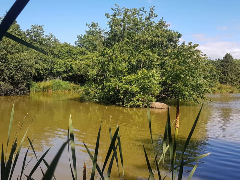 Surrounding area | Cedar - Thornbury Holiday Park, Woodacott, near Holsworthy