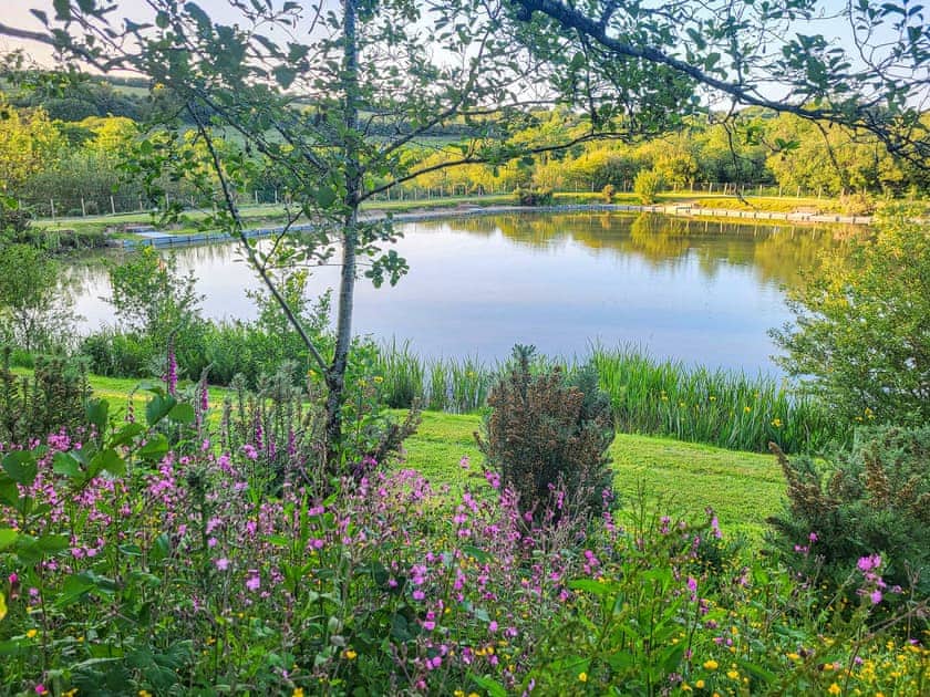 Surrounding area | Foxglove Lodge - Higher Shorston Lakes and Lodges, Holsworthy, near Bude