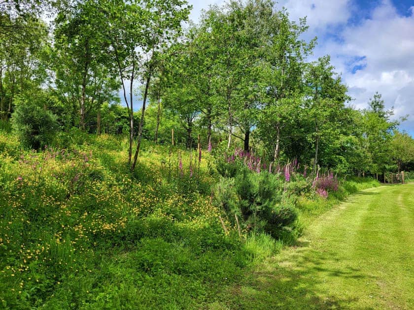 Surrounding area | Foxglove Lodge - Higher Shorston Lakes and Lodges, Holsworthy, near Bude
