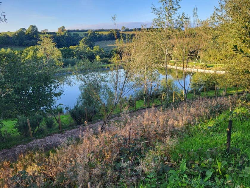 Surrounding area | Foxglove Lodge - Higher Shorston Lakes and Lodges, Holsworthy, near Bude