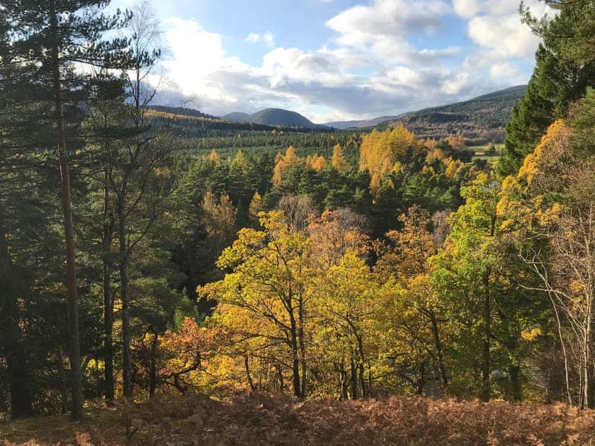 Surrounding area | Sycamore Cottage - Bonn Na Coille Cottages, Ballater